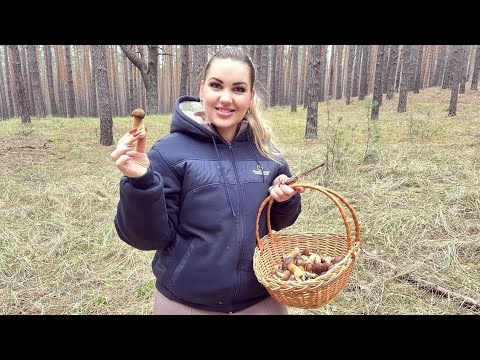 Видео: ВЛОГ/ ЖАХ!!! ЗБИРАЮЧИ ГРИБИ ЗАГУБИЛИСЬ В ЛІСІ😱