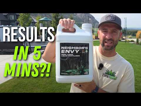 Видео: Может ли зависть соседа действительно преобразить ваш газон за одну ночь? (РЕАЛЬНЫЕ результаты!)