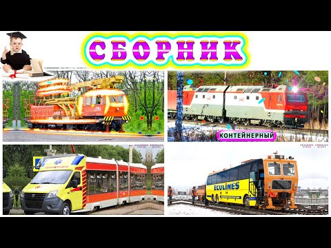 Видео: Учимся с Академиком Кроха | Развивающие мультики о транспорте