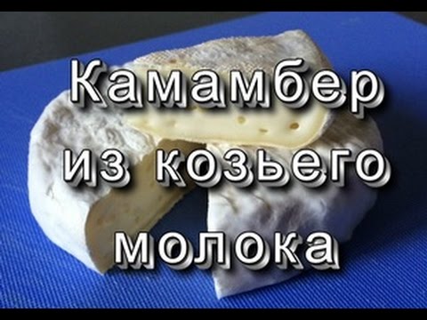 Видео: Плотный Камамбер/ Goat Camembert