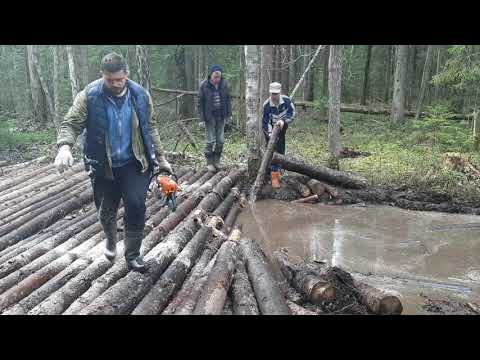 Видео: трактористы приколисты уровень 🎚 бог