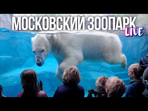 Видео: Центр Москвы – Московский зоопарк