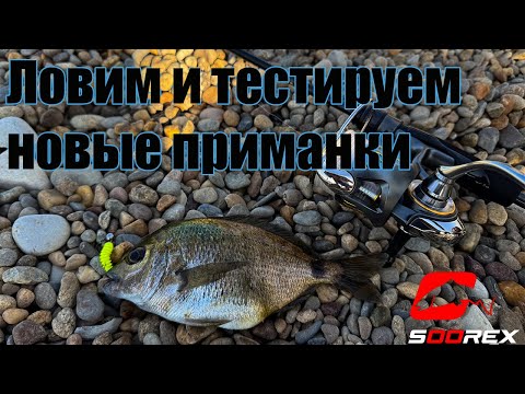 Видео: Ловим и тестируем новые приманки