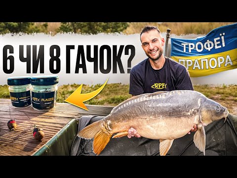 Видео: ТАКОГО ОСІННЬОГО КАРПФІШИНГУ Я НЕ ЧЕКАВ! Ловля трофейного коропа на Прапорі