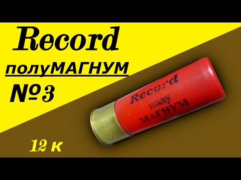 Видео: ОХОТНИЧИЙ ПАТРОН RECORD №3 ПОЛУМАГНУМ турецкая вертикалка Sarsilmaz SP 300