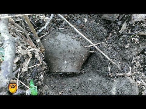 Видео: ВОТ ТАК КОПНУЛИ. Нашли корчму. Пока что САМЫЙ ЛУЧШИЙ КОП в этом году. Gold Beard