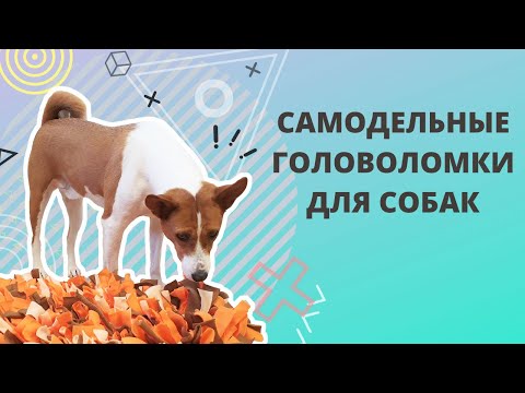 Видео: Самодельные головоломки для собак. Ментальные нагрузки. Игры для собак