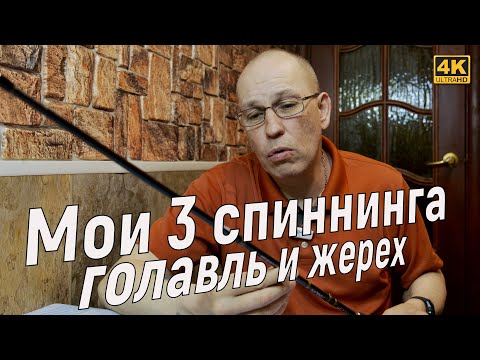 Видео: Мои 3 спиннинга для ловли голавля и жереха