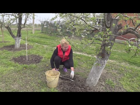 Видео: 29.04.23 Тёплый день и тёплый вечер.