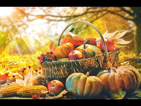 Видео: КiРМАШ 2024 10группа