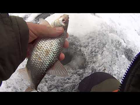 Видео: ЗВОН ЛЕСКИ ЗАПОМНИТСЯ НА ДОЛГО. Бирюсинский залив!!!