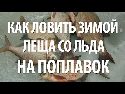 Видео: ПОДЛЕДНАЯ ЛОВЛЯ ПОДЛЕЩИКА и ЛЕЩА. ЛОВЛЯ на ПОПЛАВОК ЗИМОЙ