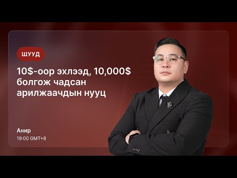 Видео: Шууд: 10$-р эхлээд, 10,000$ болгож чадсан арилжаачдын нууц