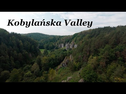 Видео: Kobylańska Valley / Dolina Kobylańska / Долина Кобылянская