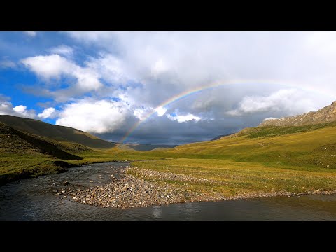 Видео: Снова рыбалка на речке Шалкудысу (GoPro-8)