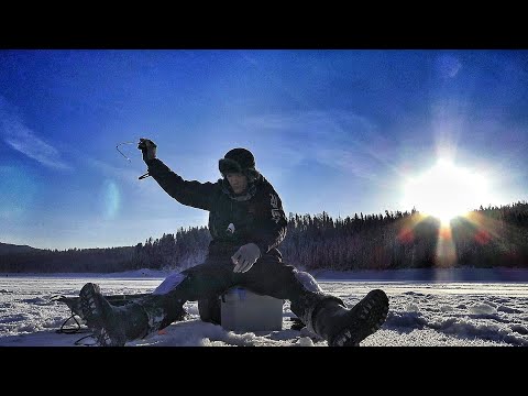 Видео: НАШЁЛ СТАДО ЛЕЩА! ПЕРВЫЙ ТЕСТ ПАНОПТИКС ЗИМОЙ. Garmin Panoptics с Ehomap 9