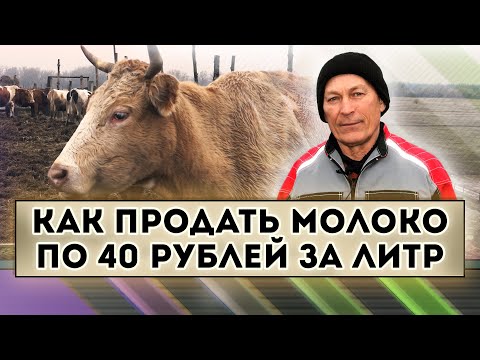 Видео: Как продать молоко по 40 рублей за литр
