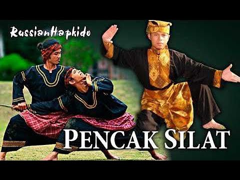 Видео: [Боевые умения] Силат и источник Явары