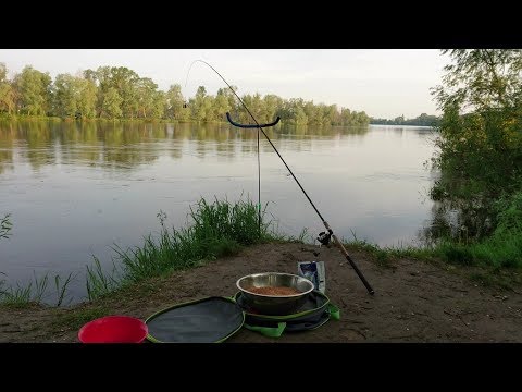 Видео: Фидерная рыбалка на Десне в маю