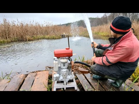 Видео: Размываю дно самодельного пруда. Мотопомпа 2СД