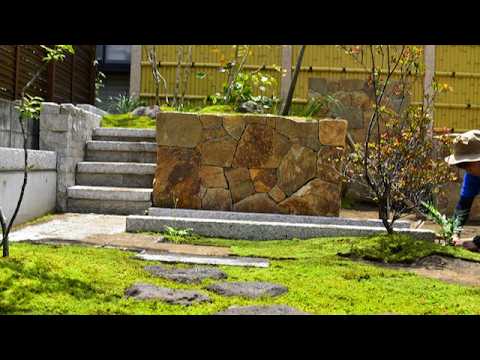 Видео: Искусство японского садового дизайна — Каменная кладка и посадка — Почвопокровный мох.