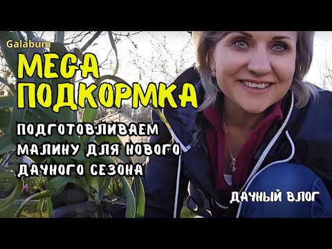 Видео: Как я Справляюсь с дачей ОДНА Пока муж Болеет / Важная Подкормка малины Весной. @GALABUM