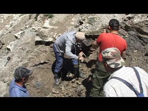 Видео: Акуша. "Ихтиозавр". 10.07.2016г. Находка ихтиозавра в Акуша (Чурчума)