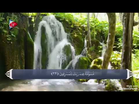 Видео: Муъмин ~2~ Ҳоҷи Мирзо