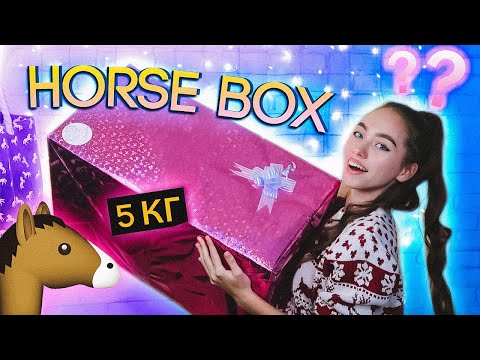 Видео: РАСПАКОВКА Horse BOX с Примеркой !