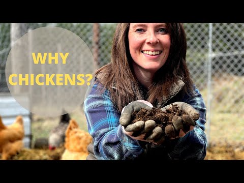 Видео: Как приготовить ПРОСТОЙ КОМПОСТ с КУРИЦАМИ | КАК И ПОЧЕМУ