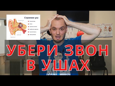 Видео: Как улучшить слух. Нарушение слуха и шум в ушах. Остеопатия