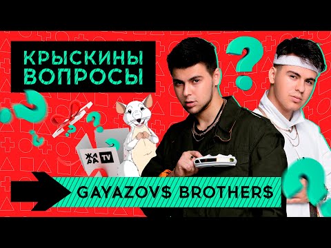 Видео: Вопросы от крыски /// GAYAZOV$ BROTHER$