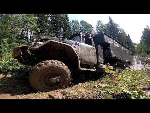 Видео: Зил 131 На бездорожье.Едем в Сибирскую тайгу Строить место для отдыха .Стол№ 10.
