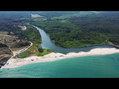Видео: Синеморец