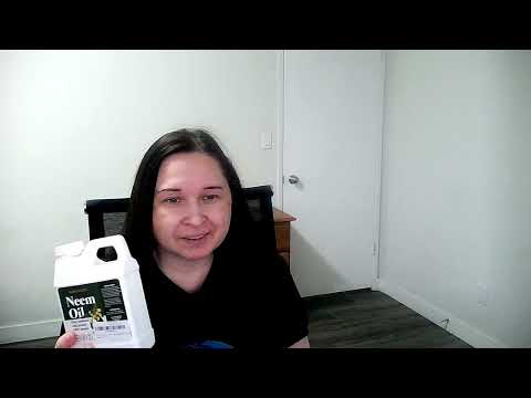 Видео: Аптечка и удобрения для хавортий в Канаде