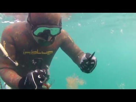 Видео: 30 мая 2015 г. Подводна охота на акватории города!