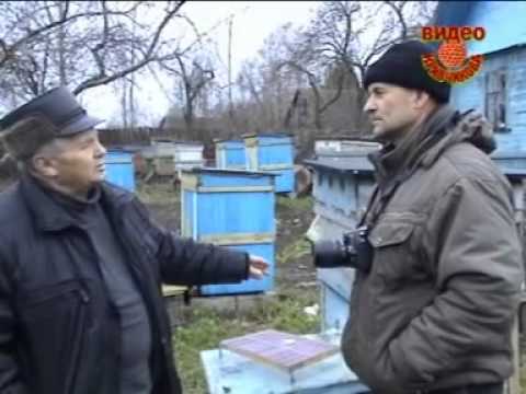 Видео: 7 Первый точок