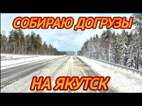 Видео: РЕЙС В ЯКУТСК/КУЧА ДОГРУЗОВ/ГРУЖУ ШЕСНАРЬ В РУЧНУЮ