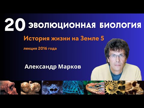 Видео: Методы геохронологии. Тектоника плит. Древнейшие следы жизни