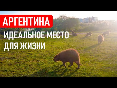 Видео: Самый безопасный район в Буэнос-Айресе - Nordelta. Аргентина | Заграничники