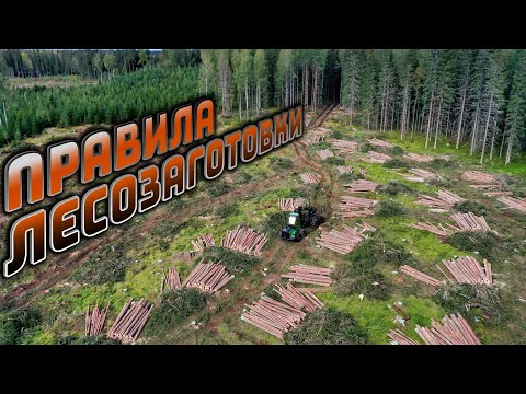 Видео: Правила лесозаготовки