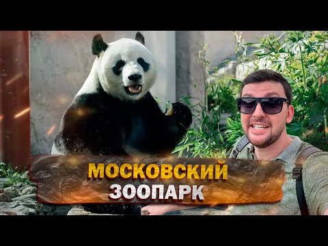 Видео: Московский ЗООПАРК! Полный ОБЗОР. Развлечения в МОСКВЕ. Что посмотреть? Панды, СЛОНЫ, Жираф
