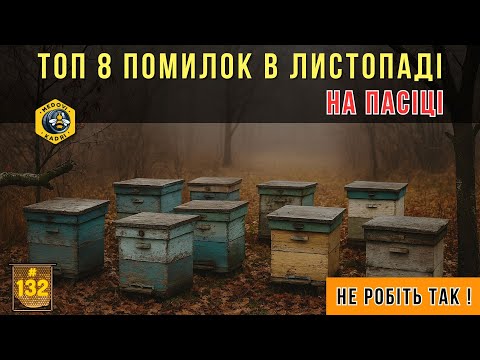 Видео: Топ 8 помилок пасічника у листопаді