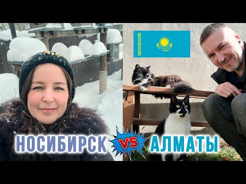 Видео: Новосибирск или Алматы?! Лимфодренажный массаж от Тасболата. Сибиряки в Казахстане и в Сибири
