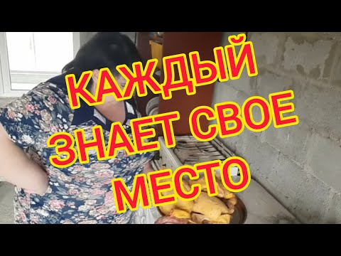 Видео: ДОМАШНЕЕ//ОТВЕТЫ//ЗАВТРАК//ЖДЕМ ЭДИКА