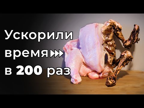 Видео: МЫ СОСТАРИЛИ ЭТИ ВЕЩИ НА 10 ЛЕТ!