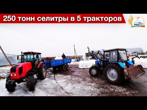 Видео: Завозим купленное удобрение на двух ХТЗ и трёх МТЗ. Разгружаем на МТЗ-1221+Metal-Fach и АП-4014.