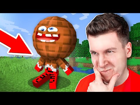 Видео: 😱 Мой ДРУГ Сошёл с Ума и СЛОМАЛ МАЙНКРАФТ ! ВЛАДУС