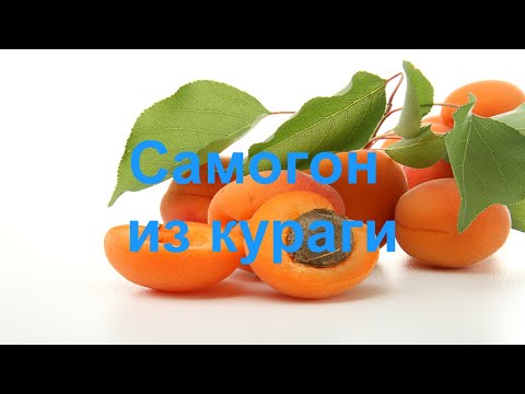 Видео: Самогон из кураги