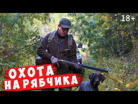 Видео: Охота на рябчика с Дратхааром.  Ответ @MyVariedLife по Охоте на медведя.